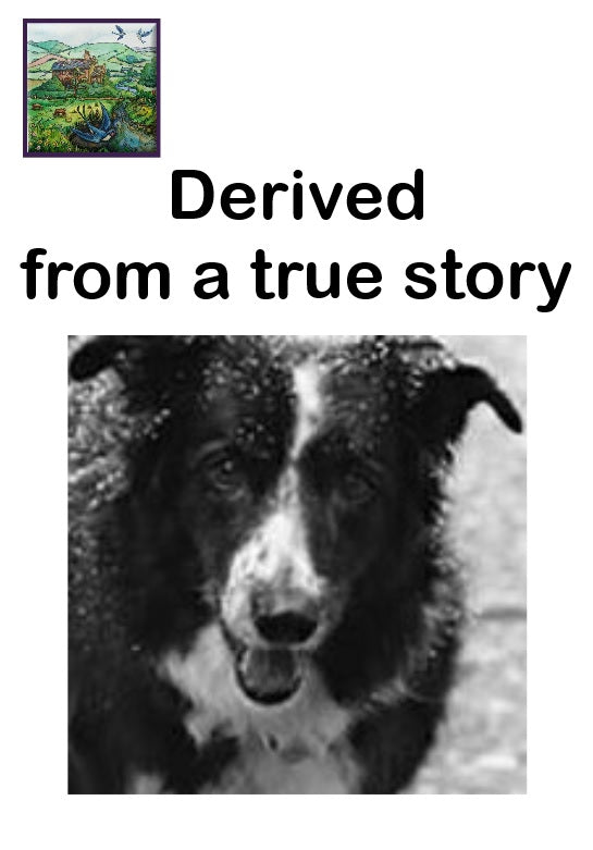 a.Blaze the sheepdog e-book short children's story The incredible story of Blaze from an abandoned pup to a hero