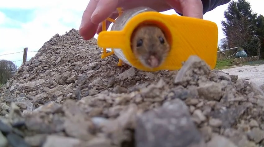 Catch Alive Mouse Traps, designed tested and made in the Bowland Forest Lancashire UK