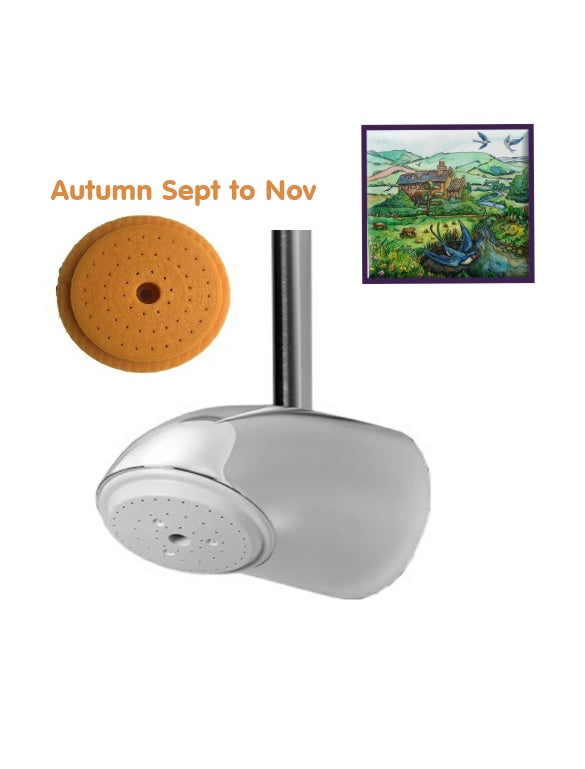 Orange Autumn Sept to Dec  Rada Exposed Shower Head 1 unit designed to drain dry when not in use copper backed and sleeved to aid in the suppression and control  of Legionella bacteria