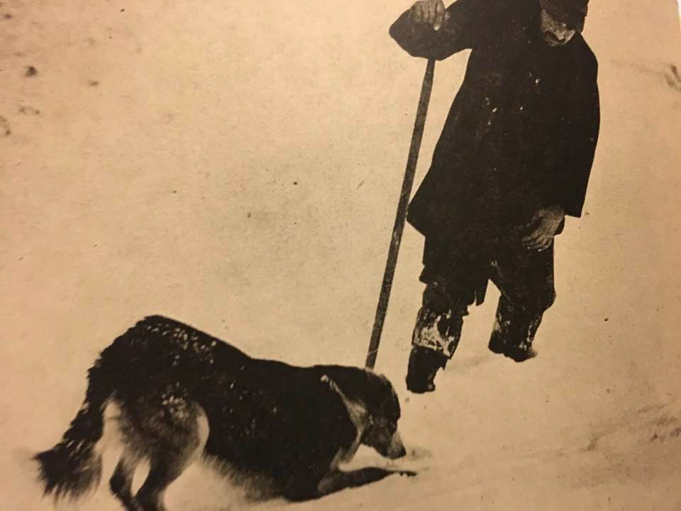 BLAZE — THE SHEEPDOG NOBODY WANTED BOOK